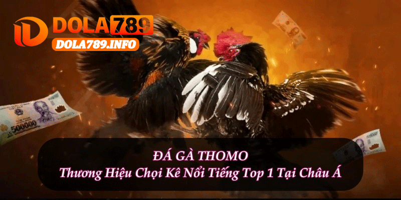 Đá Gà Thomo Sân Chơi Giải Trí Hấp Dẫn Người Xem