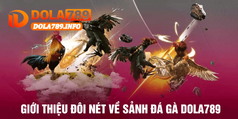 Giới Thiệu Đôi Nét Về Sảnh Đá Gà Dola789