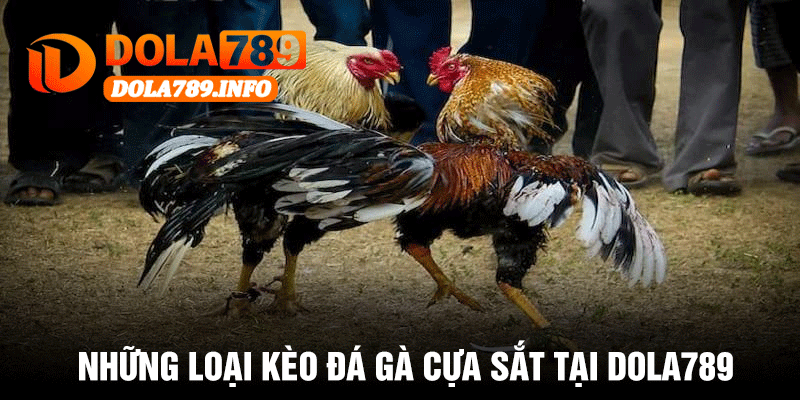 Những Loại Kèo Đá Gà Cựa Sắt Tại Dola789