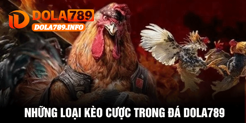 Những Loại Kèo Cược Trong Đá Dola789