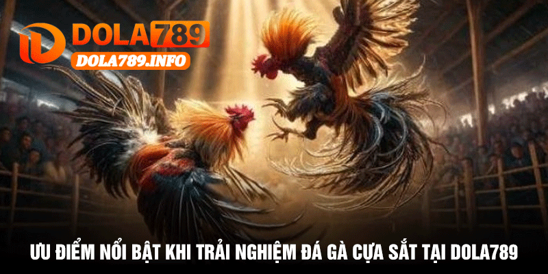 Ưu Điểm Nổi Bật Khi Trải Nghiệm Đá Gà Cựa Sắt Tại Dola789