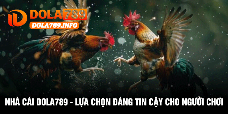 Nhà Cái Dola789 - Lựa Chọn Đáng Tin Cậy Cho Người Chơi