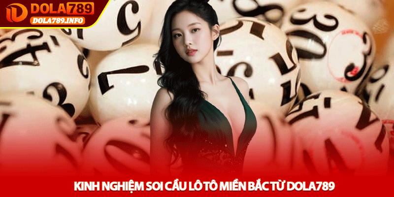 Kinh Nghiệm Soi Cầu Lô Tô Miền Bắc Từ Dola789